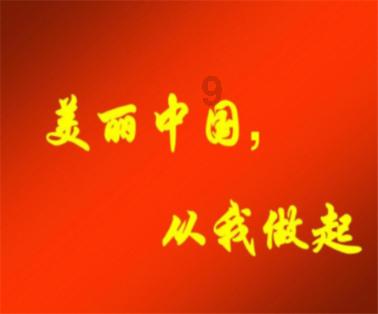 杜江的这句话火了